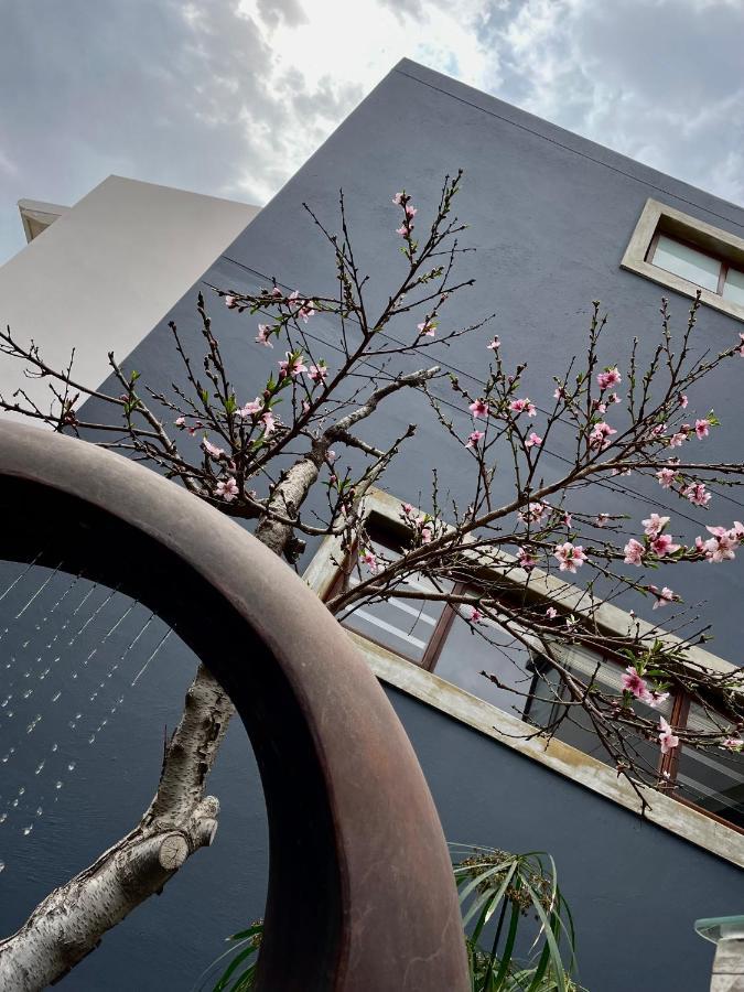 Organic Stay Guesthouse Swakopmund Exterior photo